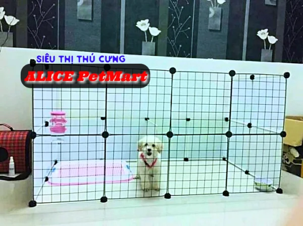 Chuồng ghép chó mèo Mẫu A019