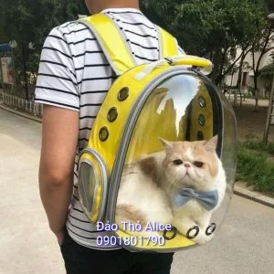 Balo phi hành gia trong suốt