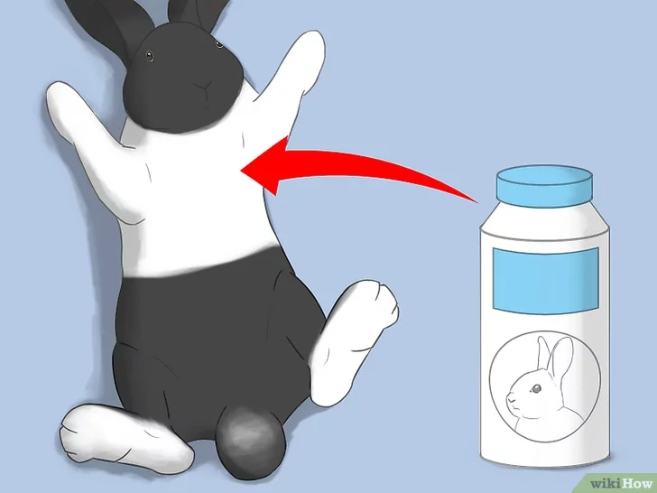 Tiêu đề ảnh Bathe Your Pet Rabbit Step 12